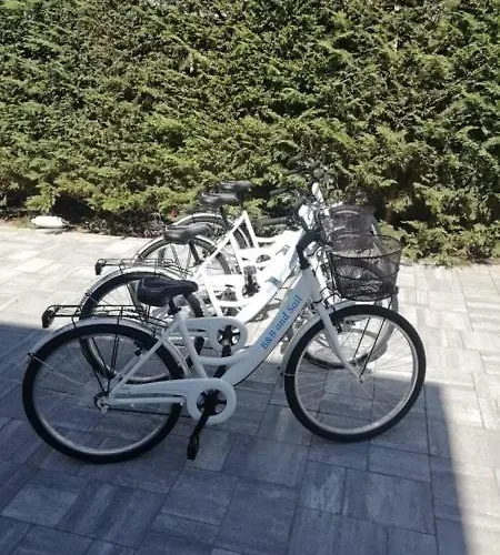 Bed & Breakfast And Sail