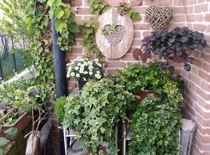 And Sail Bed & Breakfast 3*